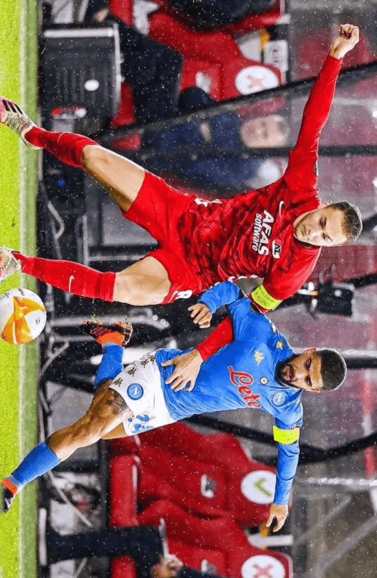 供一个展示 供一个展示