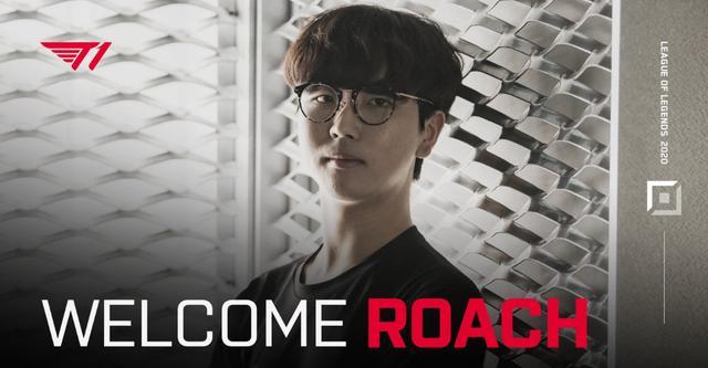 职业态度的 职业态度的