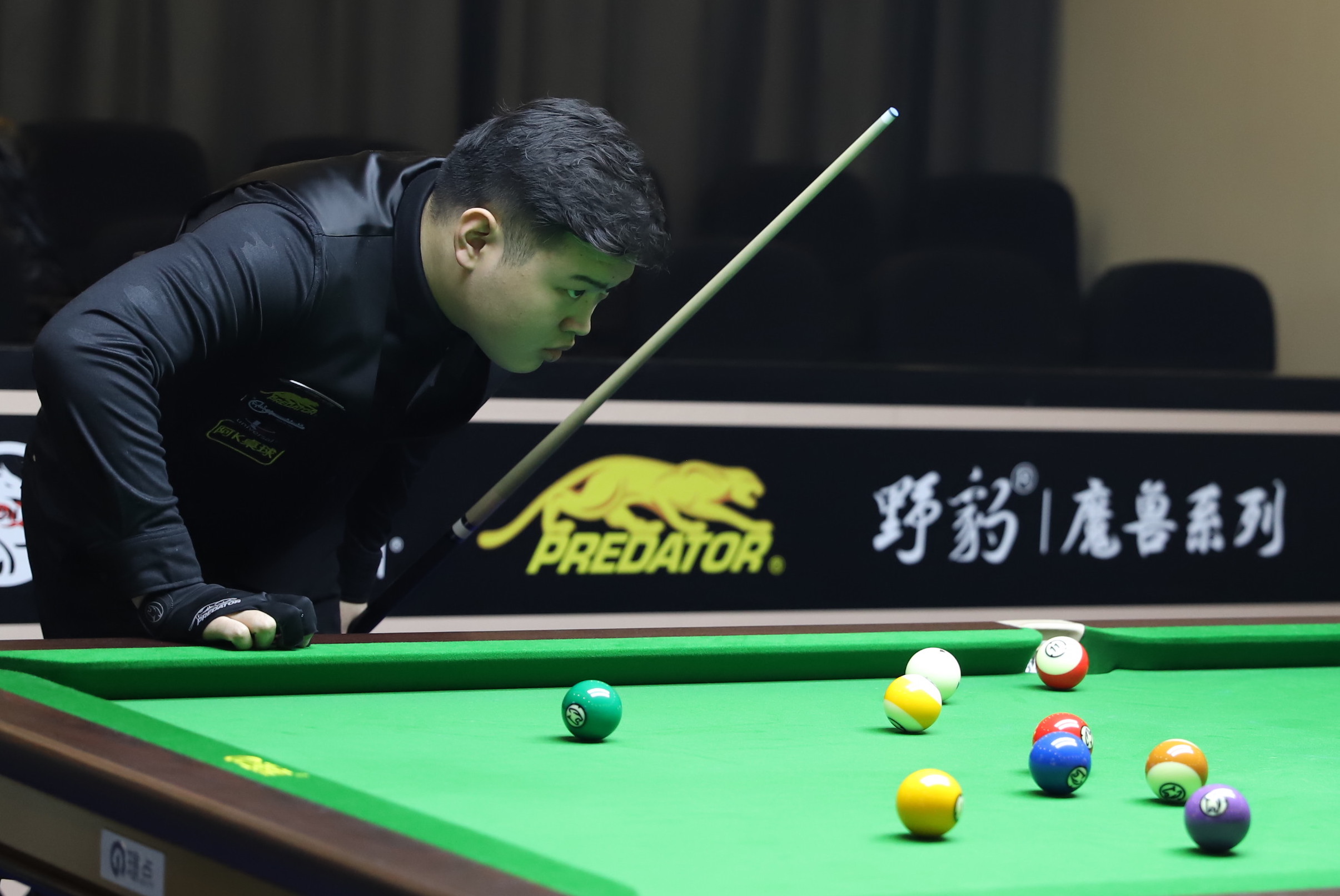 牌照审核 牌照审核